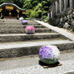 紫陽花ボール