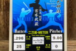 ⚾二刀流-METER⚾