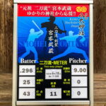 ⚾二刀流-METER⚾