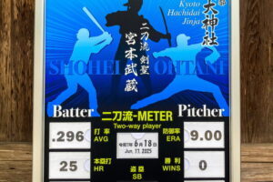 ⚾二刀流-METER⚾
