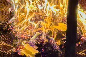 2月3日 節分祭大祓神事