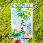 透かし御朱印　令和八年初夏
