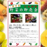 令和７年６月１５日（土）「野菜の即売会」ご案内